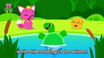 Fun Facts about Animal Sleeping Habits Learn with Pinkfong - Baby Shark Pinkfong for Kids