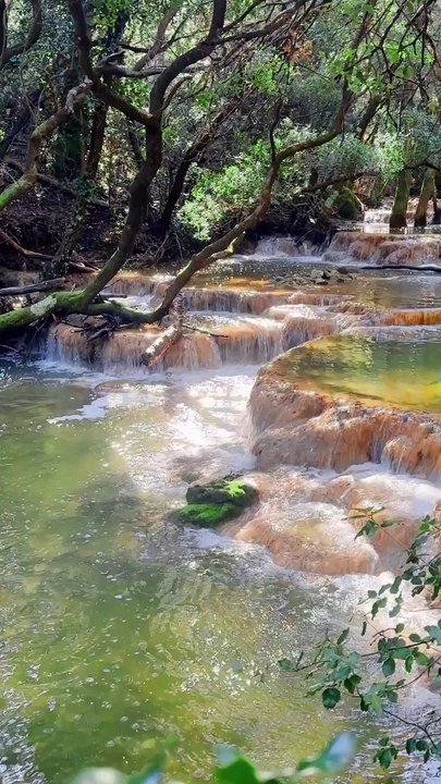  Les Sources de l'Huveaune, Provence  Avec ses vasques turquoises ce lieu est une véritable merveille ! ❤️‍  #petitmauda #adresse #guide#spot #sourcesdelhuveaune #france #francia #francetourisme #frança #southoffrance