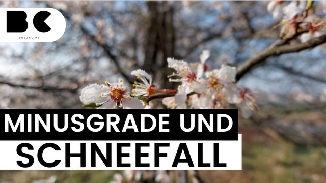 Aprilwetter spielt jetzt komplett verrückt!