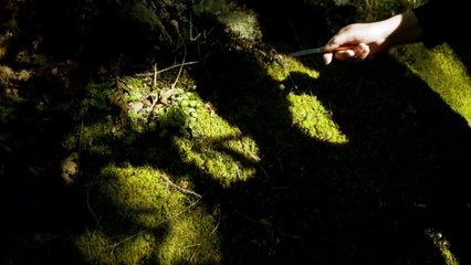 Luna roja | Tráiler oficial subtitulado