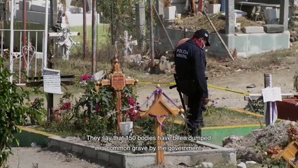 Volverte a Ver |  Tráiler oficial