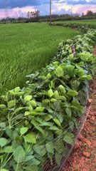 I really like this feeling