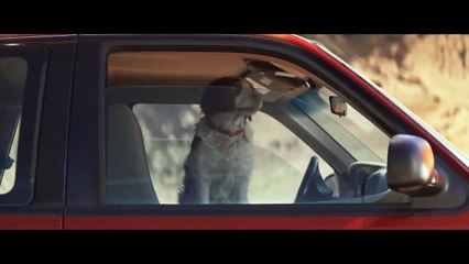 East of the Mountains | Tráiler oficial