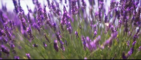 The Lost Girls | Tráiler oficial subtitulado