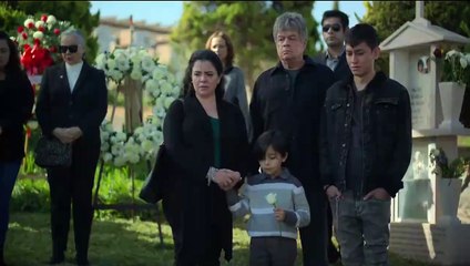 Amores incompletos | Tráiler oficial