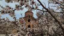 Akdamar Adası çiçeklerle süslendi