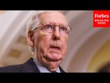 Mitch McConnell Slams 'Chicken Littles On The Left' For Their FISA Renewal 'Fear-Mongering'