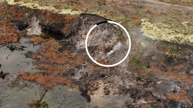 En Gironde, le sous-sol brûle encore, près de deux ans après les mégafeux