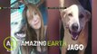 Amazing Earth: Meet the hero dog that gives his life for his owner!