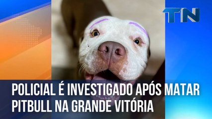 Policial é investigado após matar pitbull na Grande Vitória