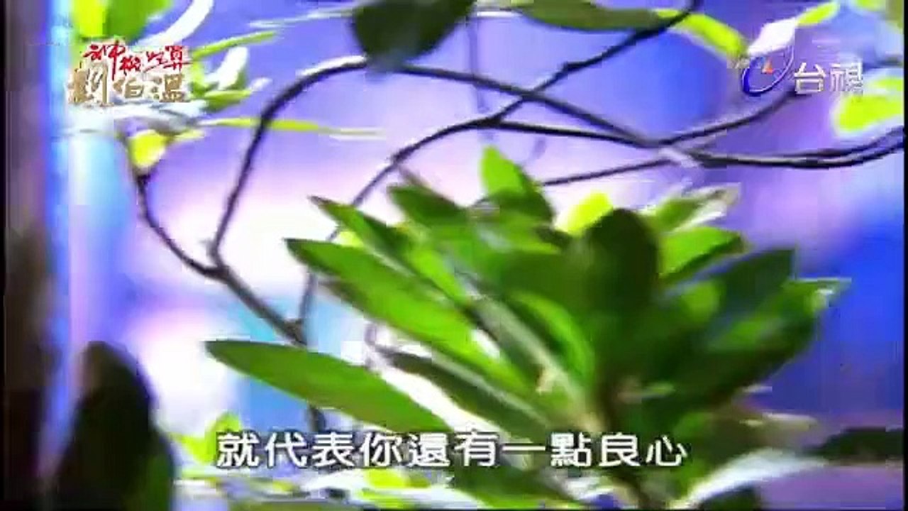 Tình thiên hận hải tập 12
