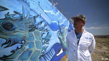 Fighting Cape Town's crime with street art