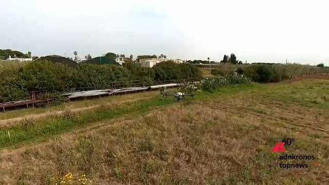 Droni e satelliti per prevenire malattie delle piante, presentato a Bari il progetto Agreed