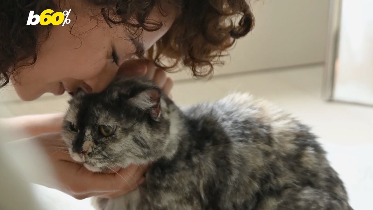 Some People Are Leaving Their Jobs To Better Care For Their Pet