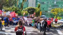 Servidores técnicos-administrativos fazem protesto em Brasília