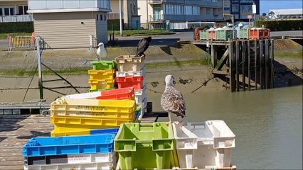 Courseulles sur mer