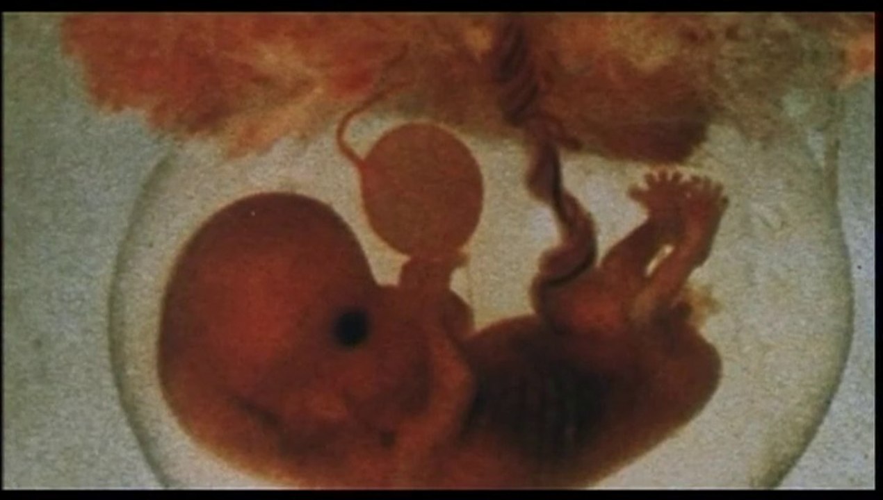 "EMBRYO" de Ralph Nelson (1976) avec Rock Hudon et Barbara Carrera