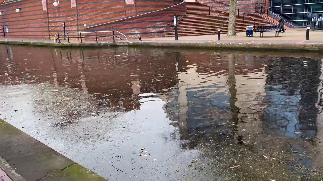 Birmingham city centre canals at Brindleyplace pictured full of weeds and rubbish