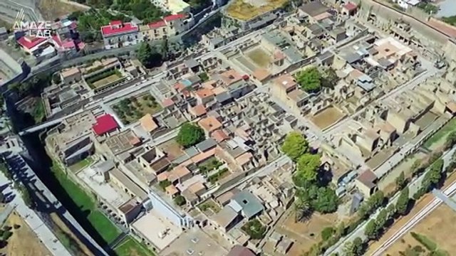 Brain Cells Found in a Person Who Died in Vesuvius Eruption 2,000 Years Ago