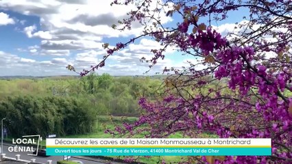 Local Génial - 19/04/2024 - Les caves de la Maison Monmousseau