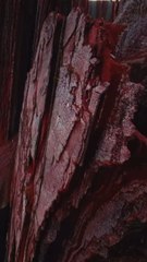 LA PLUS COLORÉE des montagnes péruviennes : Pallay Punchu [@alxxpaul]