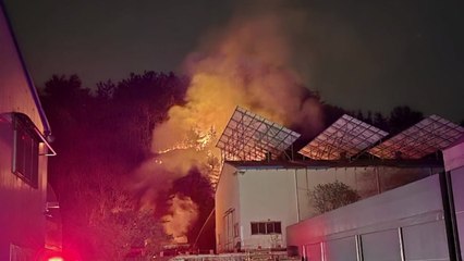 군산시 야산에서 불..."인근 공장 폐지 더미에서 시작" / YTN