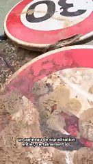 Dans l'eau depuis des décennies !