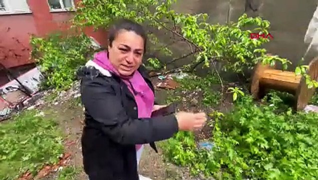 İstanbul'da vahşet: ''Hayvanlara bunu yapan, insanlara neler yapmaz?''