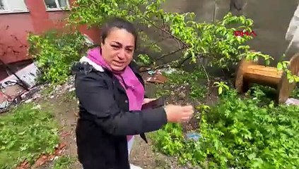 İstanbul'da vahşet: ''Hayvanlara bunu yapan, insanlara neler yapmaz?''