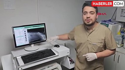 Hayvanseverlerin tüfekle vurulan köpeği ameliyatla tedavi edildi