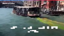 Attivisti colorano il Canal Grande: il video