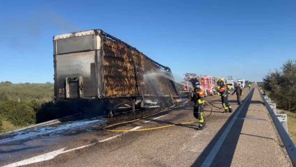 Bomberos de la Diputación de Zamora trabajando en el incendio