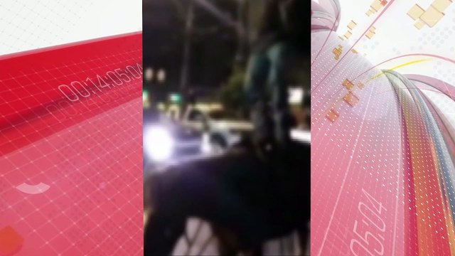 Homem é condenado por maus-tratos após dançar sobre cavalo; vídeo