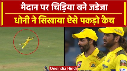 下载视频: IPL 2024: Jadeja मैदान पर बने पक्षी, पकड़ा जबरदस्त कैच, Dhoni हैरान | CSK vs LSG | Highlights