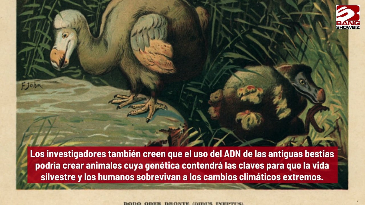 Trabajan científicos para resucitar especies extintas