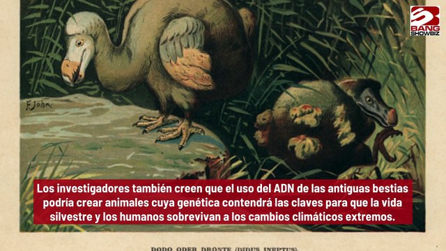 Trabajan científicos para resucitar especies extintas