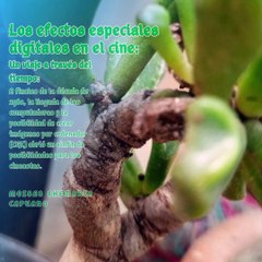 Moises Shemaria Capuano | Los Efectos Especiales (Parte 2) (Creado por @MoisesShemariaCapuano)