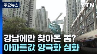 강남에만 찾아온 봄?...아파트값 양극화 심화 / YTN