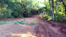 Ponte sobre o Rio Melissa na PR-180, rompe e interdita via em Cascavel