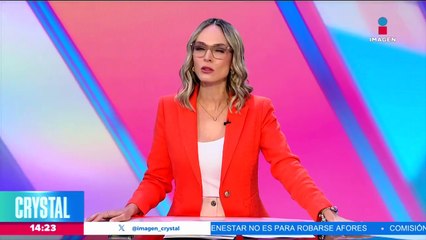 La historia de la perrita Libertad tuvo un final feliz