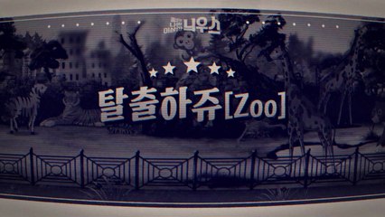 [좋은·나쁜·이상한 늬우스] 탈출하는 동물들 / YTN