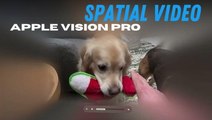 Apple Vision Pro: Spatial Video