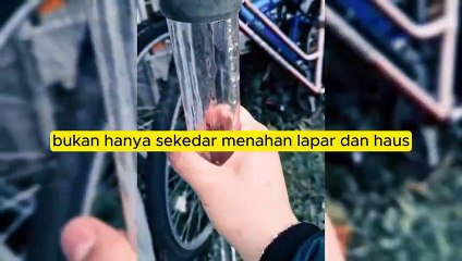 motivasi kehidupan#motivasi#motivasi islami#quote#quotes