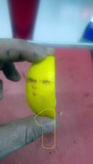 Cute Faces Appeared on Eatable Items