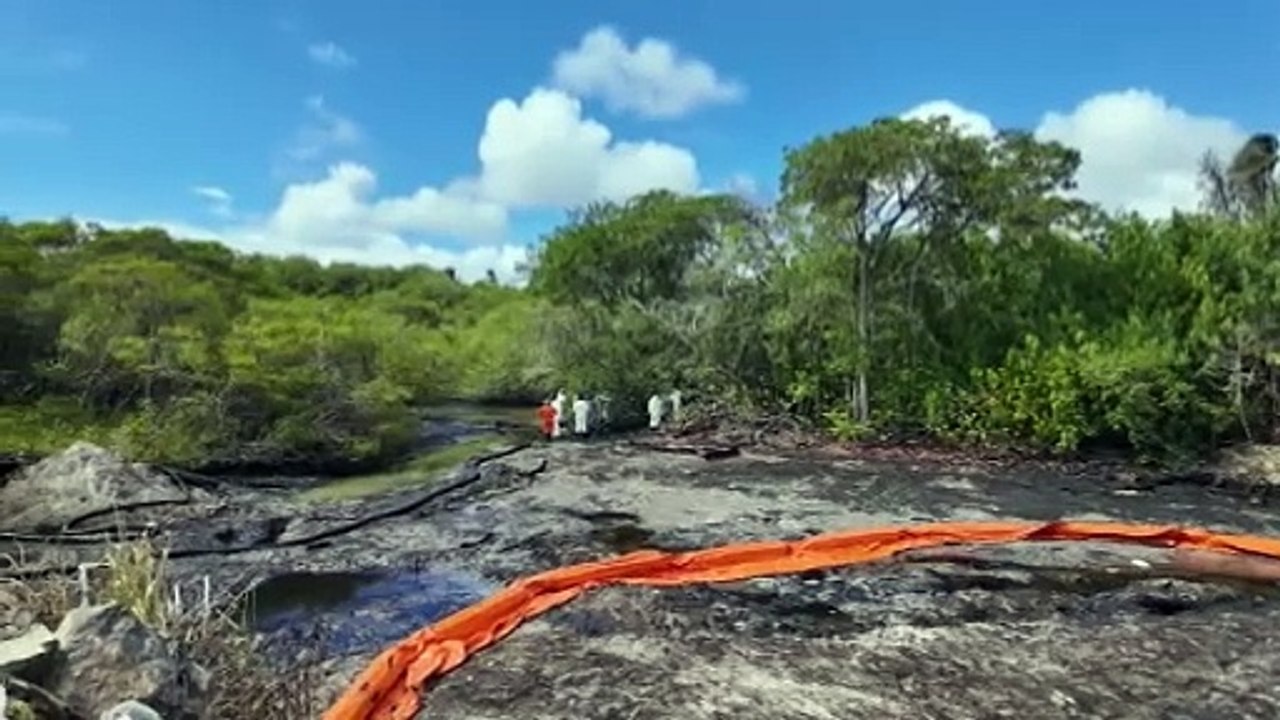 PRIME MINISTER ON OIL SPILL