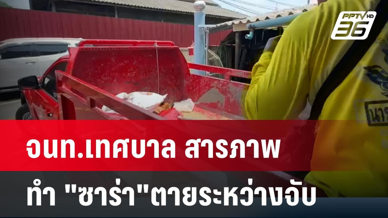 จนท.เทศบาลสารภาพ ทำ "ซาร่า"ตายระหว่างจับ | โชว์...