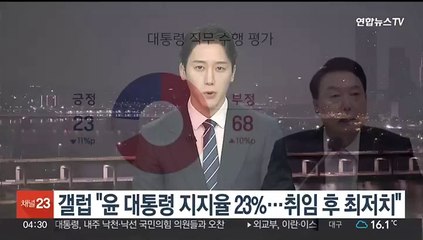 Download Video: 한국갤럽 