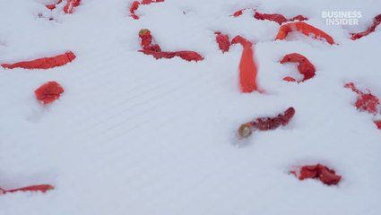 Why less snow is threatening Japan's expensive Kanzuri chile paste