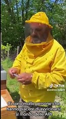 Roma: nido di api rimosso da un appartamento alla Muratella, gli insetti liberati in campagna