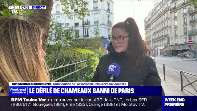 Se faire de l'argent sur le dos des animaux, ce n'est pas les aimer : l'association Paris Animaux Zoopolis régit au défilé de chameaux à Paris